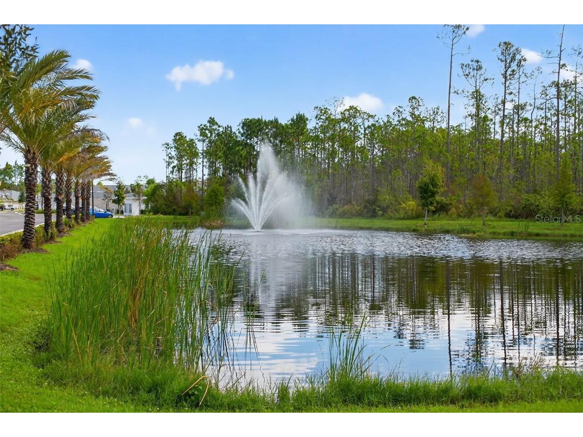 469 Bulldog Drive #3 Palm Coast FL 32164 FC314111 image41