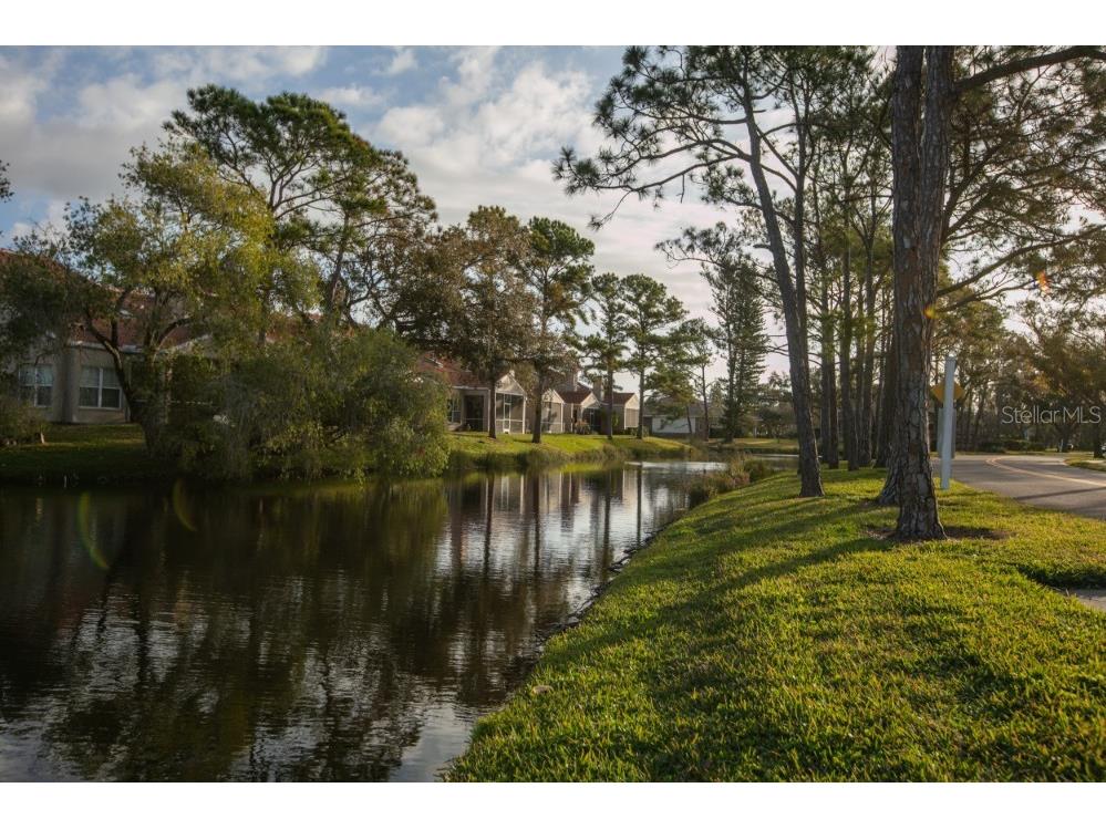 4690 Laurel Oak Lane NE Saint Petersburg FL 33703 TB8470703 image12