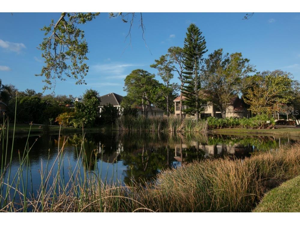 4690 Laurel Oak Lane NE Saint Petersburg FL 33703 TB8470703 image13