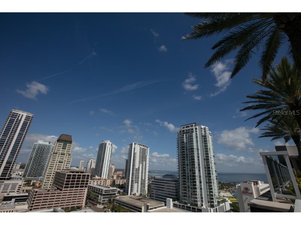 4690 Laurel Oak Lane NE Saint Petersburg FL 33703 TB8470703 image16