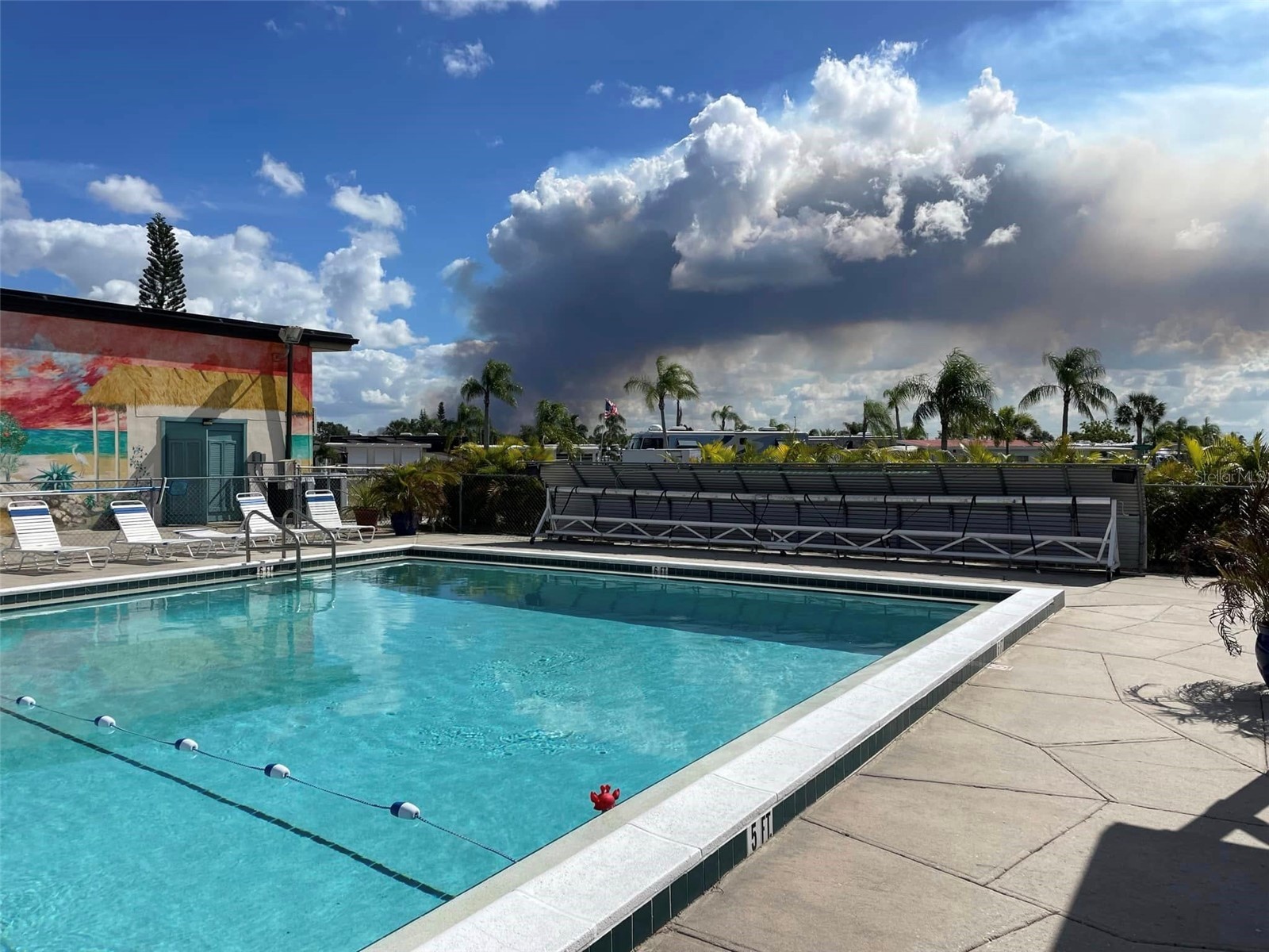 46900 Bermont Road #139 Punta Gorda FL 33982 C7524916 image23