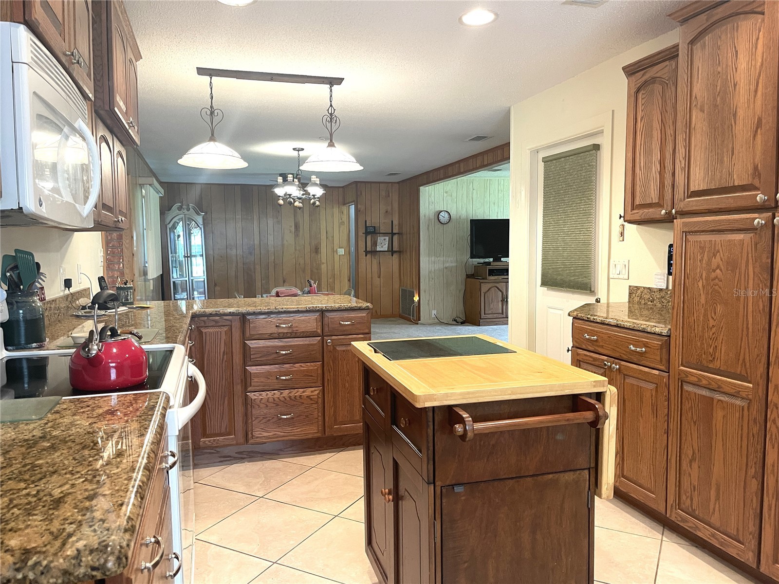 4691 Cr 118 Wildwood FL 34785 G5113180 image10