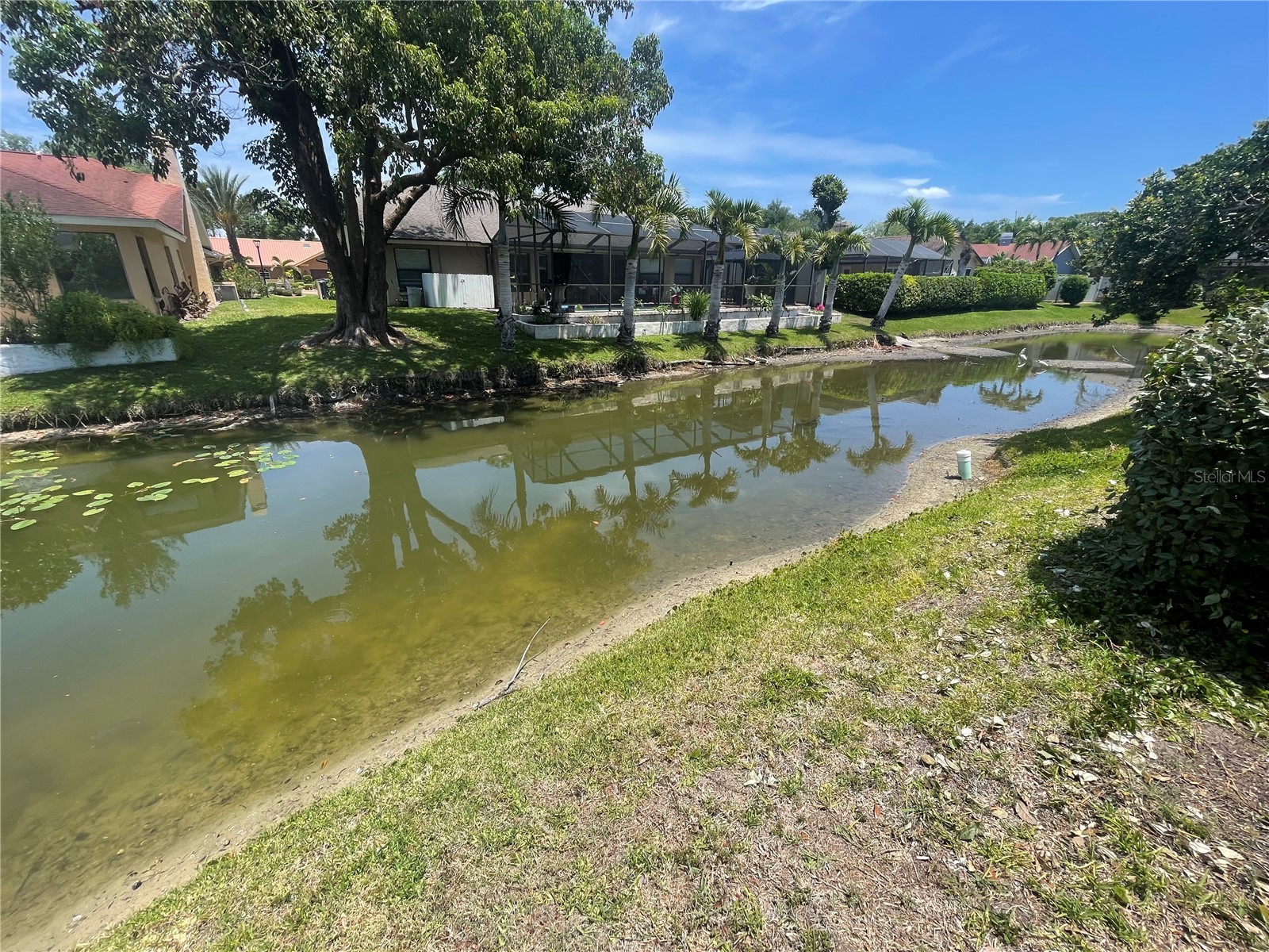 4696 Long Lake Drive Sarasota FL 34233 O6406835 image4