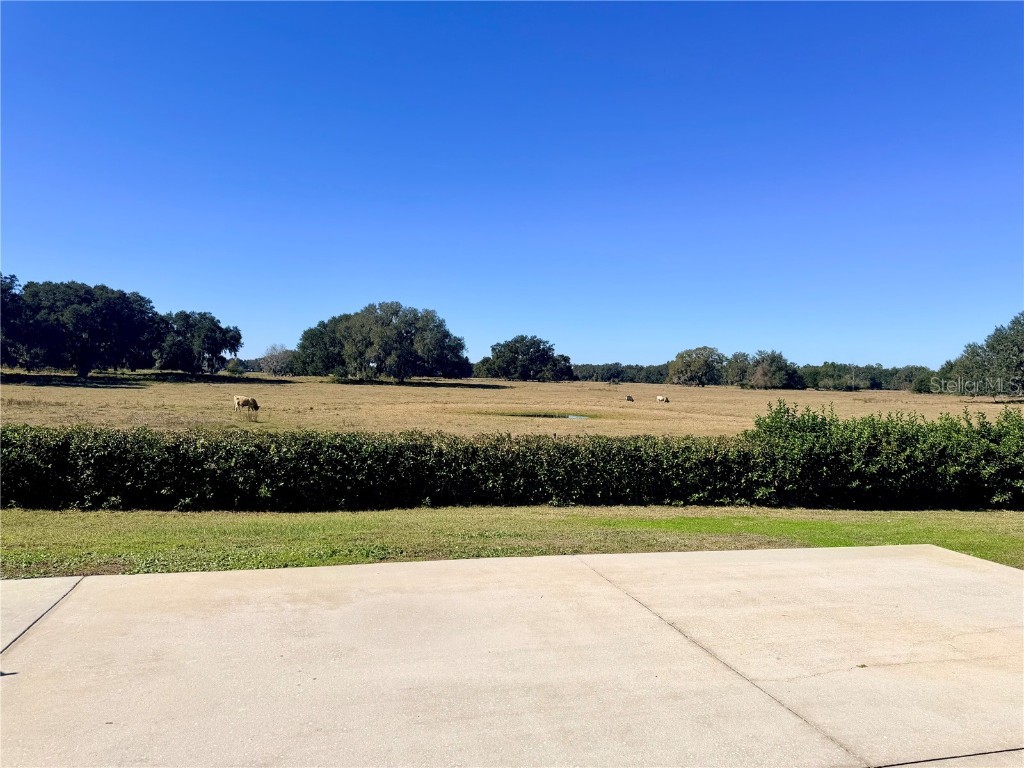 4697 SE 94th Avenue Webster FL 33597 G5105769 image6