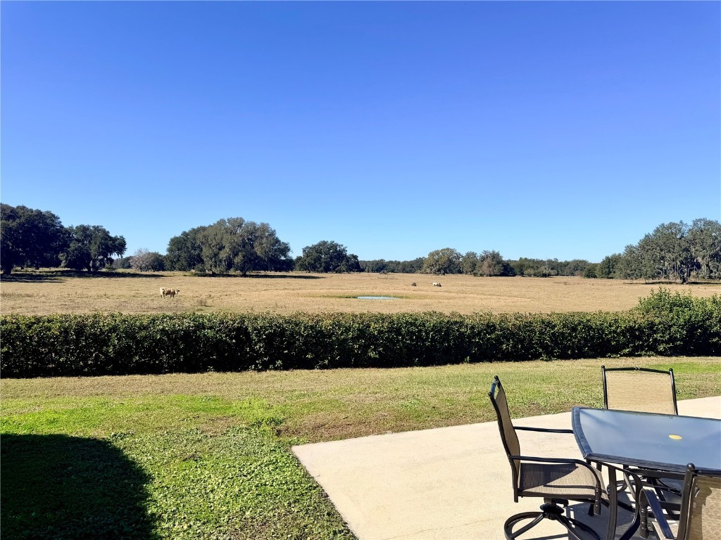 4697 SE 94th Avenue Webster FL 33597 G5105769 image8