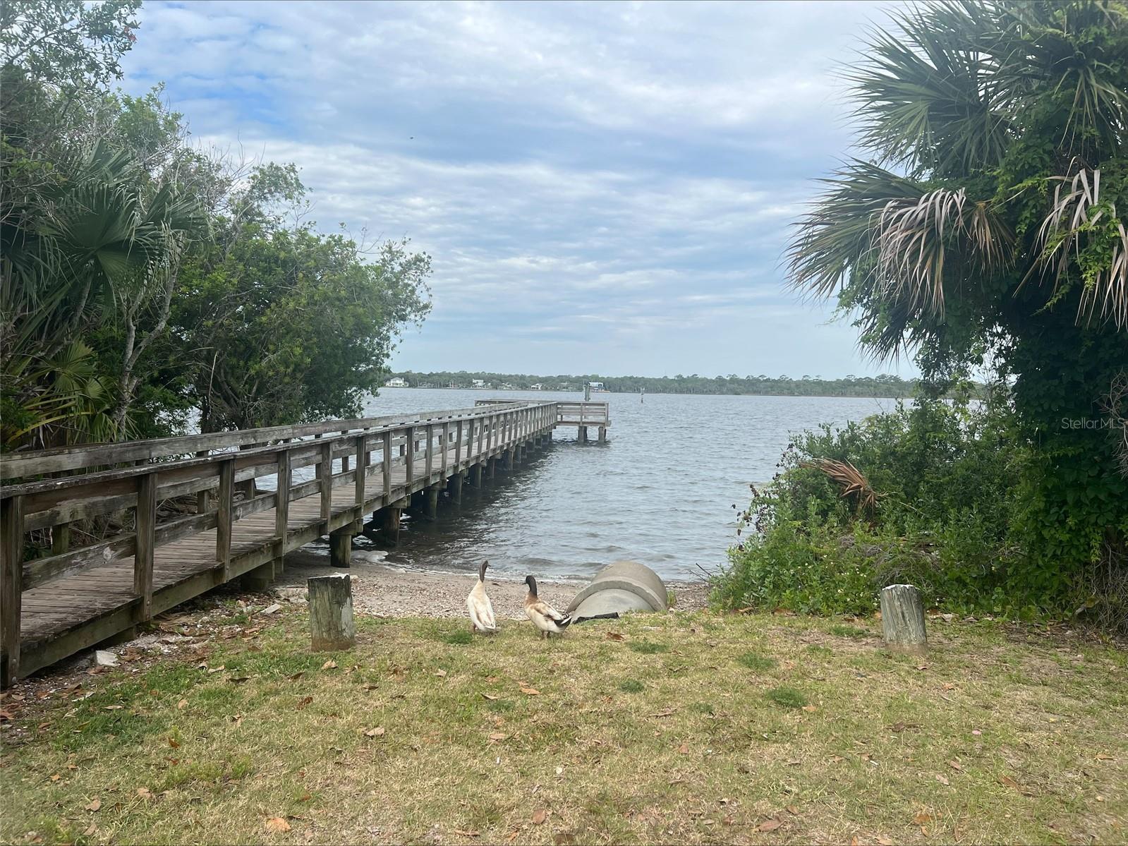 47 Carol Road Ormond Beach FL 32176 V4948567 image52