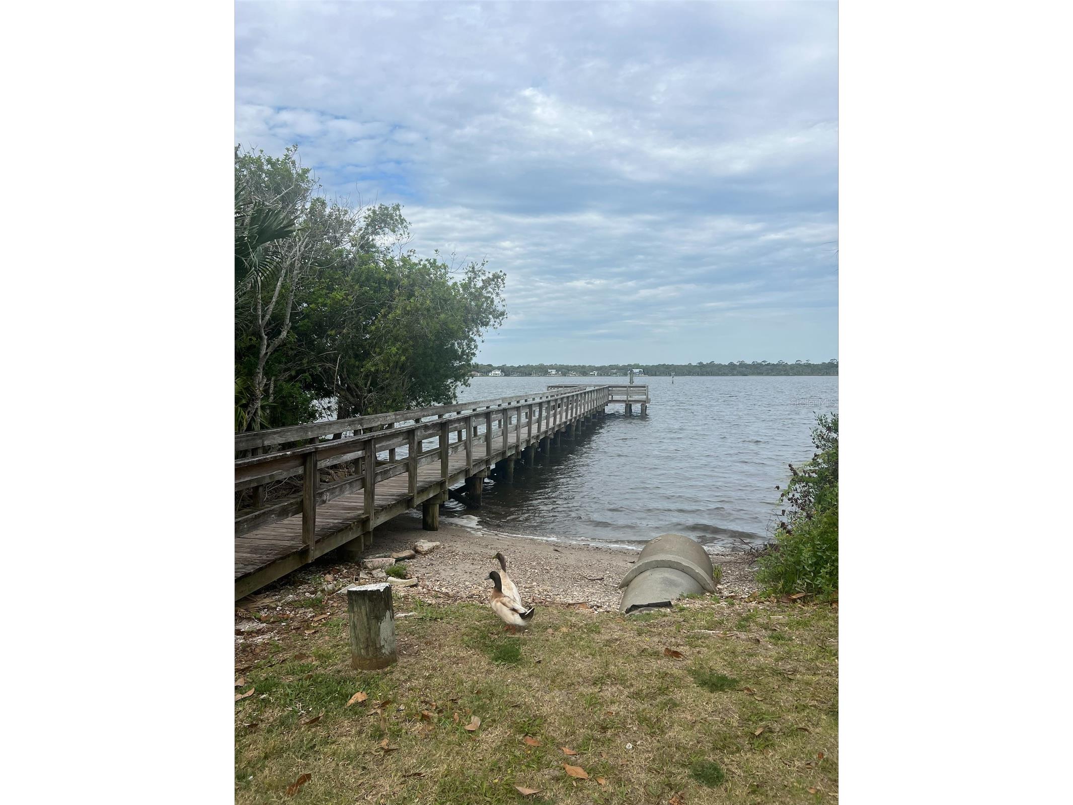 47 Carol Road Ormond Beach FL 32176 V4948567 image53
