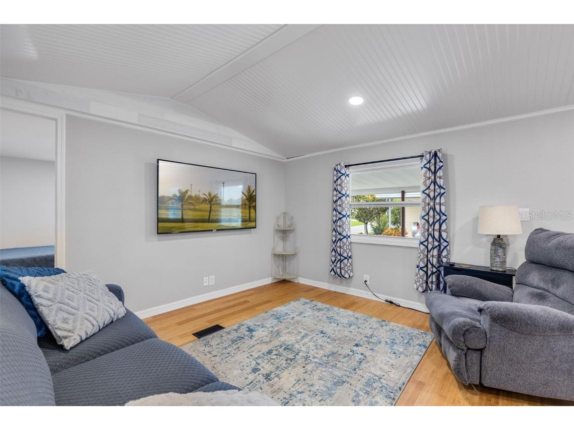 47 Cocos Plumosa Drive Eustis FL 32726 - Trout Lake O6342634 image10