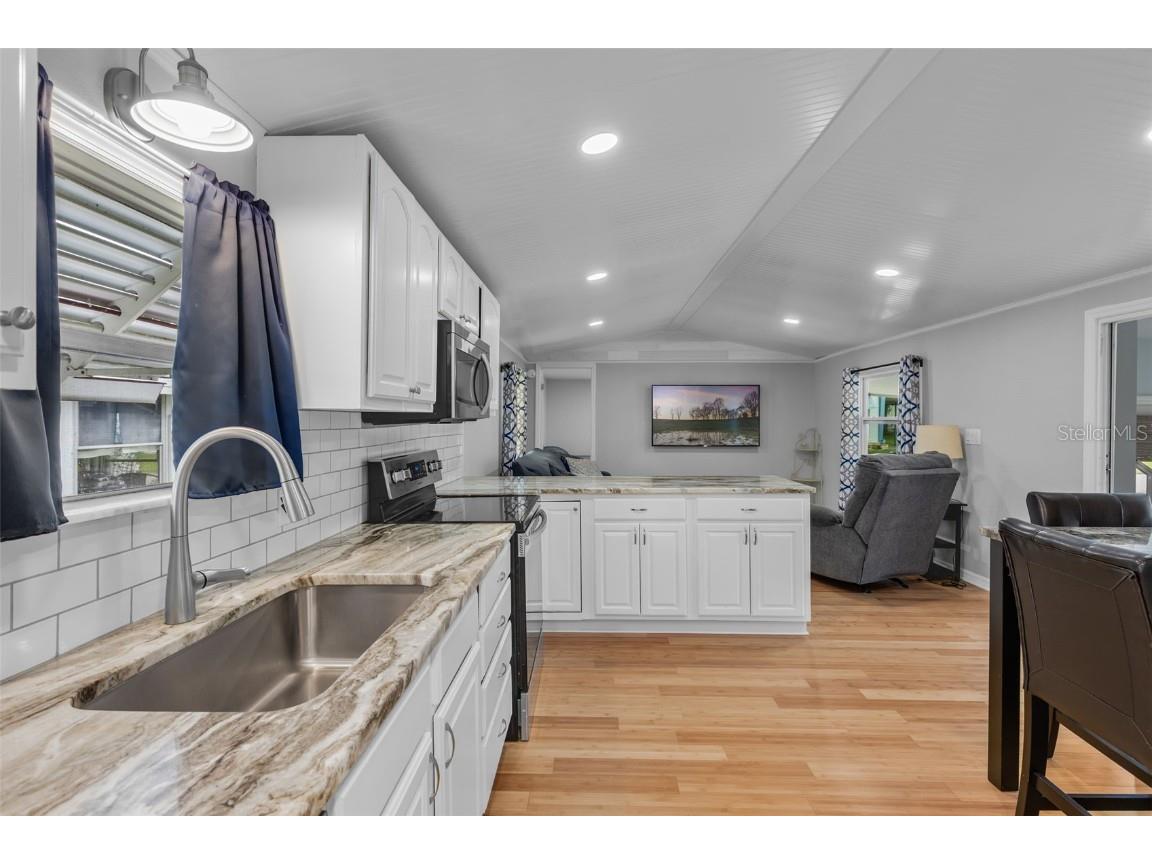 47 Cocos Plumosa Drive Eustis FL 32726 - Trout Lake O6342634 image12