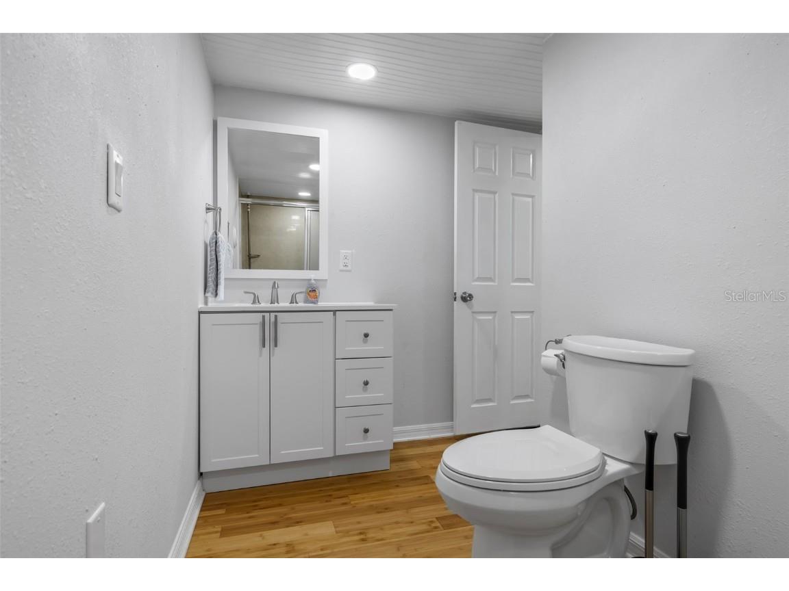 47 Cocos Plumosa Drive Eustis FL 32726 - Trout Lake O6342634 image21