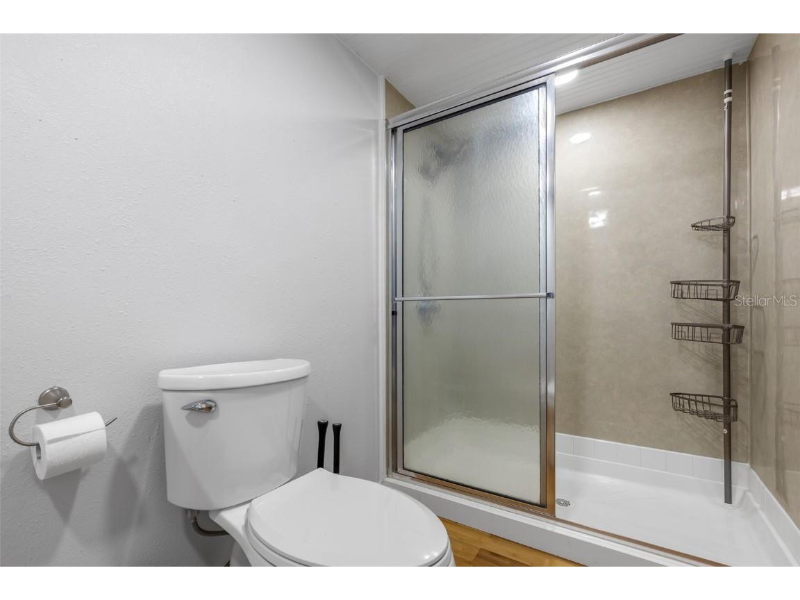 47 Cocos Plumosa Drive Eustis FL 32726 - Trout Lake O6342634 image22