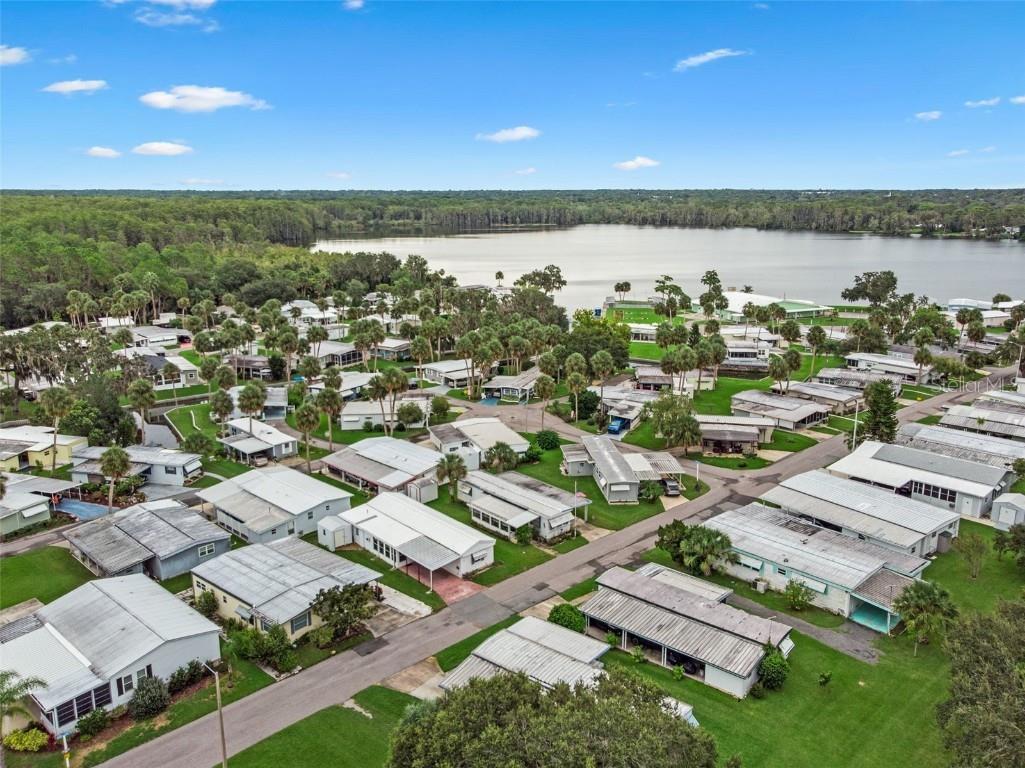 47 Cocos Plumosa Drive Eustis FL 32726 - Trout Lake O6342634 image29