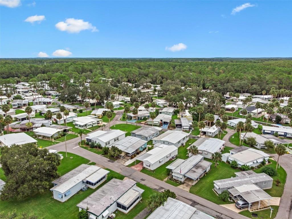 47 Cocos Plumosa Drive Eustis FL 32726 - Trout Lake O6342634 image32