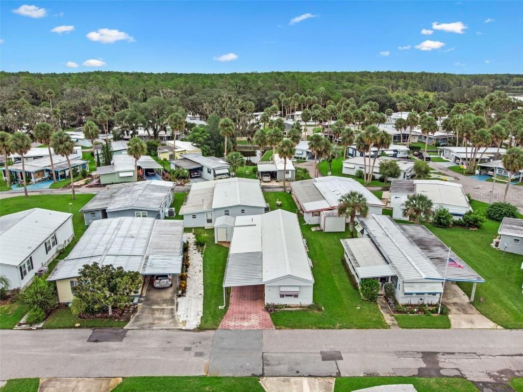 47 Cocos Plumosa Drive Eustis FL 32726 - Trout Lake O6342634 image41