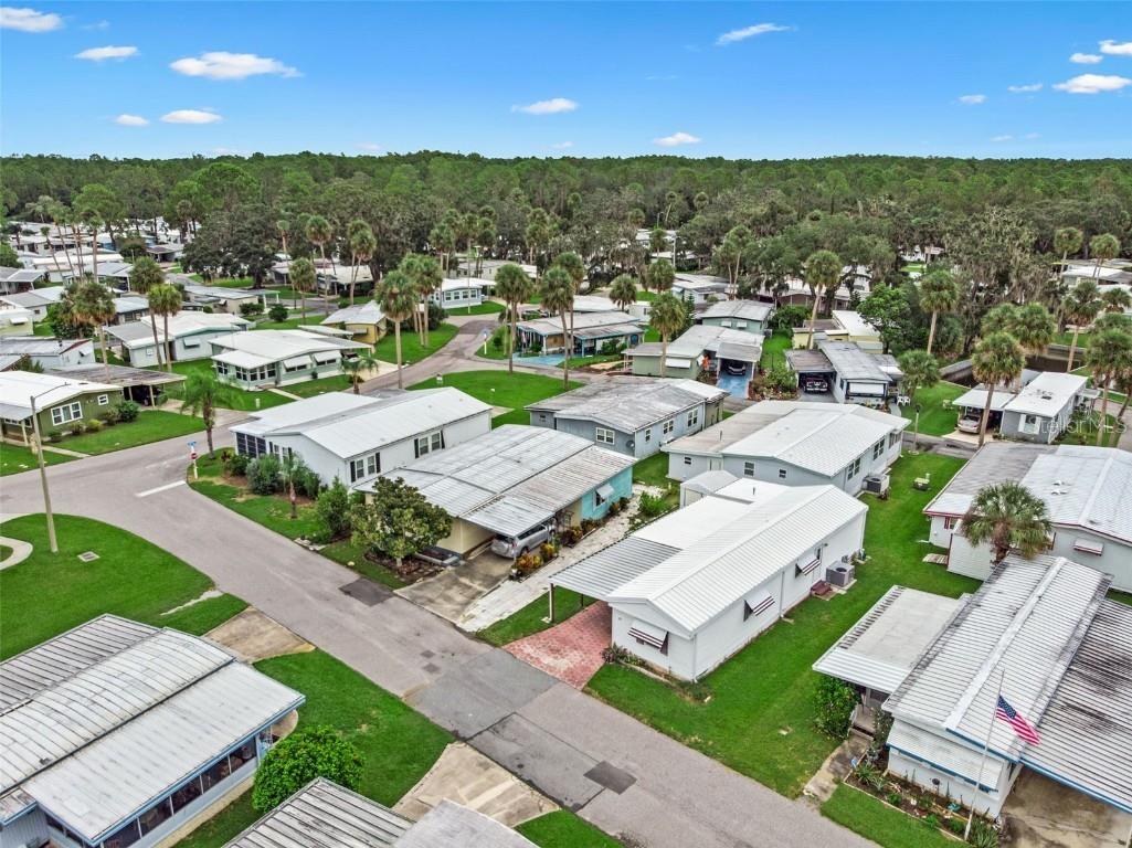 47 Cocos Plumosa Drive Eustis FL 32726 - Trout Lake O6342634 image43