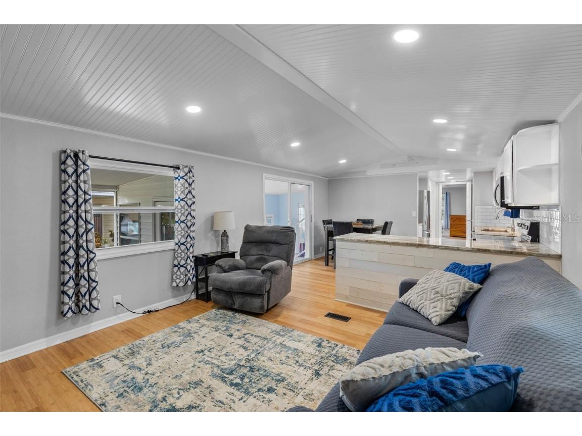 47 Cocos Plumosa Drive Eustis FL 32726 - Trout Lake O6342634 image7