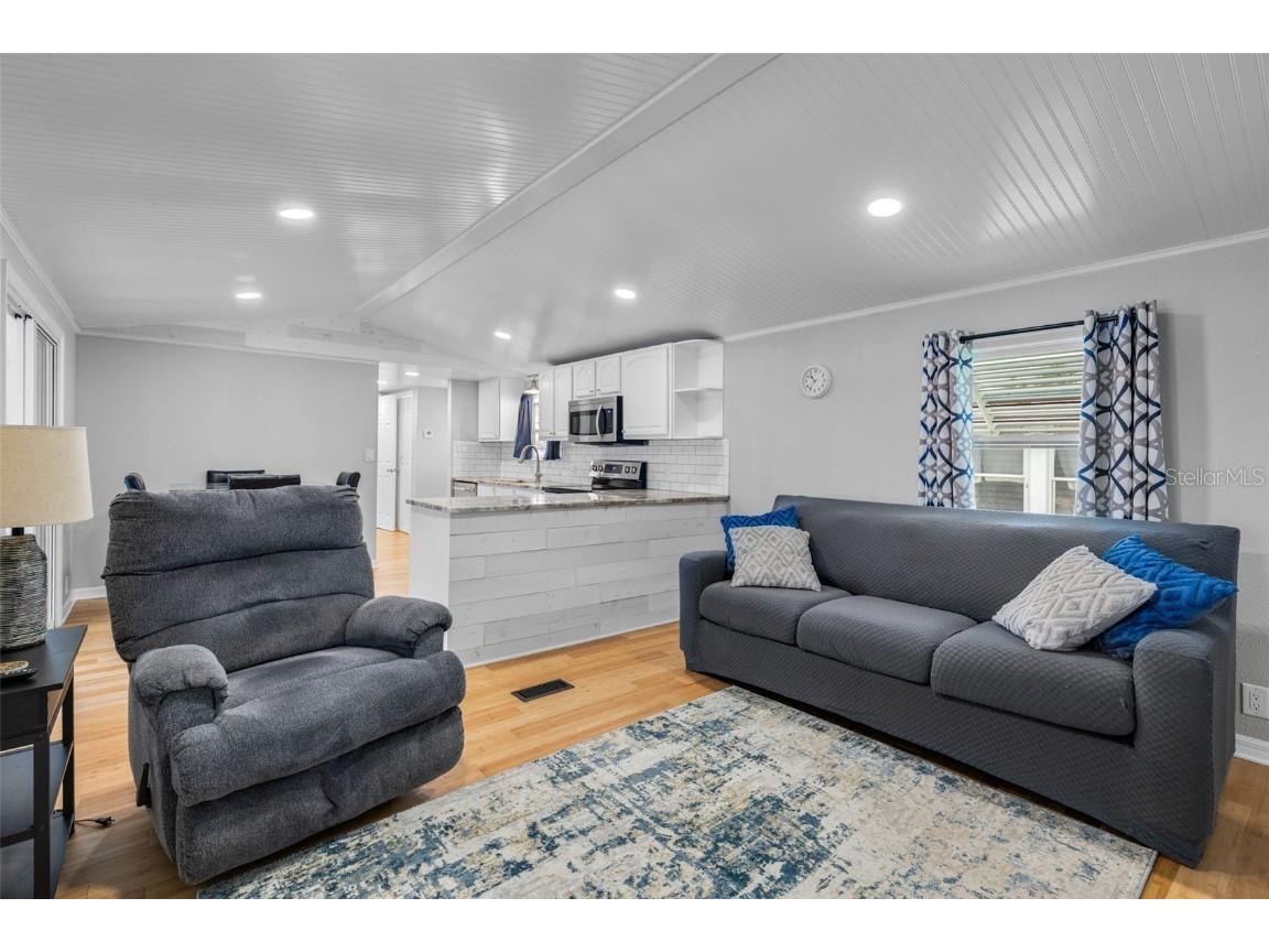 47 Cocos Plumosa Drive Eustis FL 32726 - Trout Lake O6342634 image8