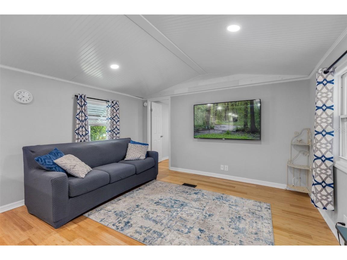 47 Cocos Plumosa Drive Eustis FL 32726 - Trout Lake O6342634 image9