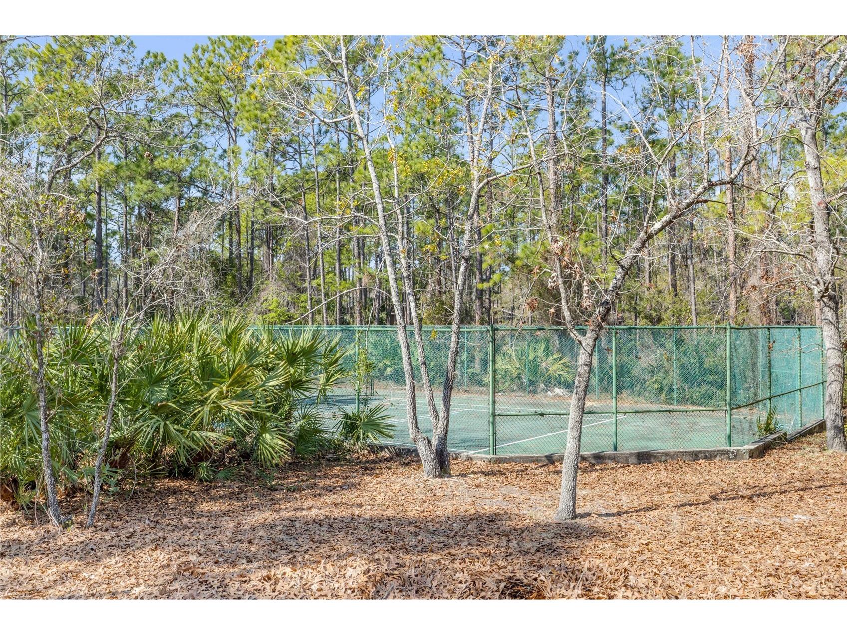 47 Crooked Pine Road Port Orange FL 32128 V4948019 image34