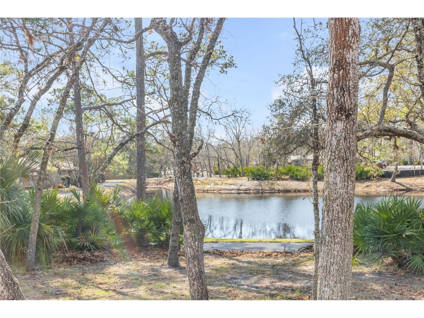 47 Crooked Pine Road Port Orange FL 32128 V4948019 image35
