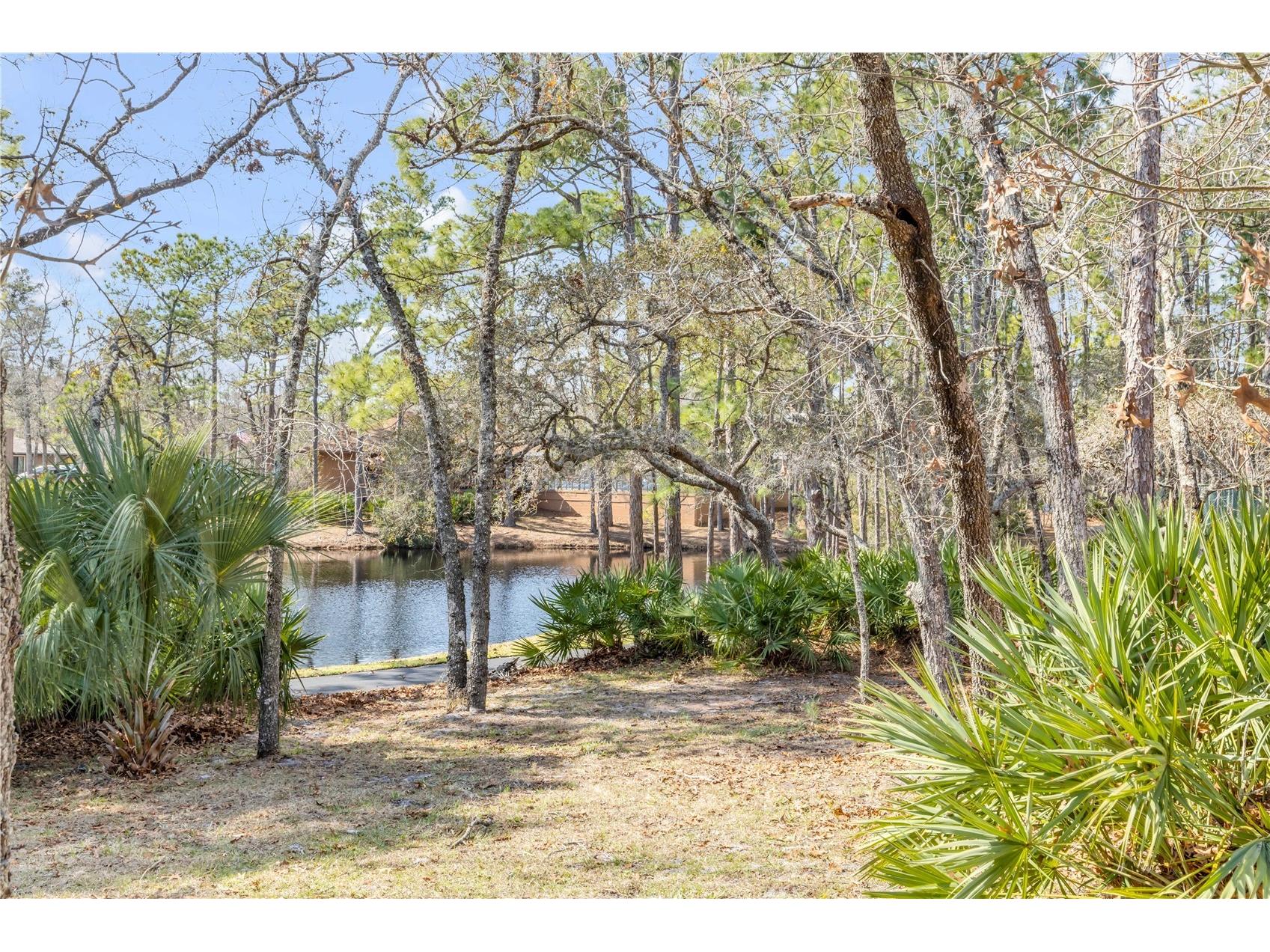 47 Crooked Pine Road Port Orange FL 32128 V4948019 image36