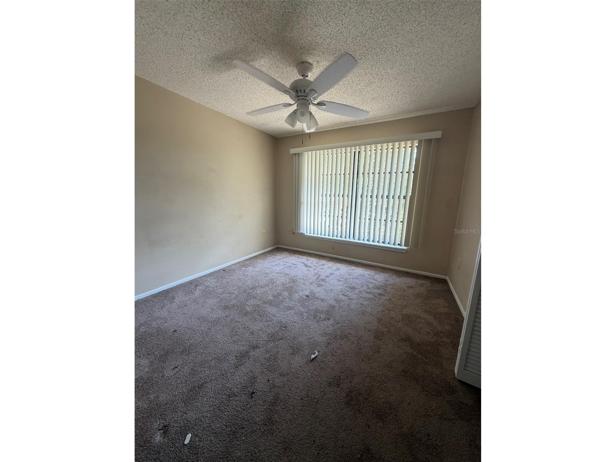47 Emerald Bay Drive Oldsmar FL 34677 TB8492525 image7