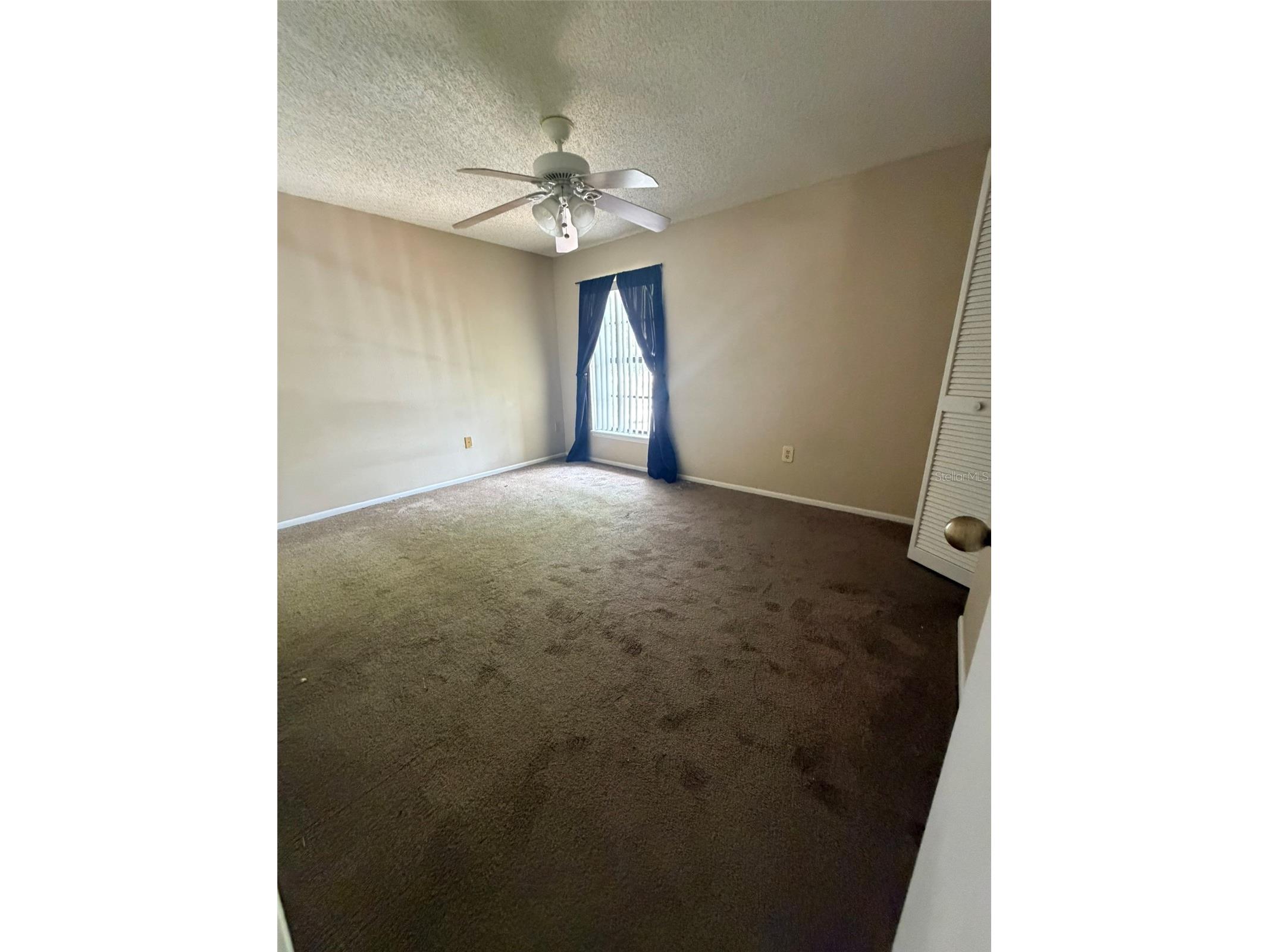 47 Emerald Bay Drive Oldsmar FL 34677 TB8492525 image9