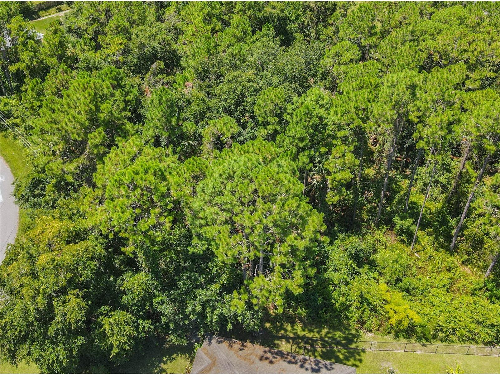 47 Fanshawe Lane Palm Coast FL 32137 FC317384 image10