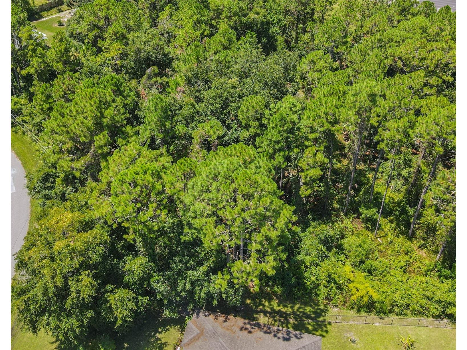 47 Fanshawe Lane Palm Coast FL 32137 FC317384 image11