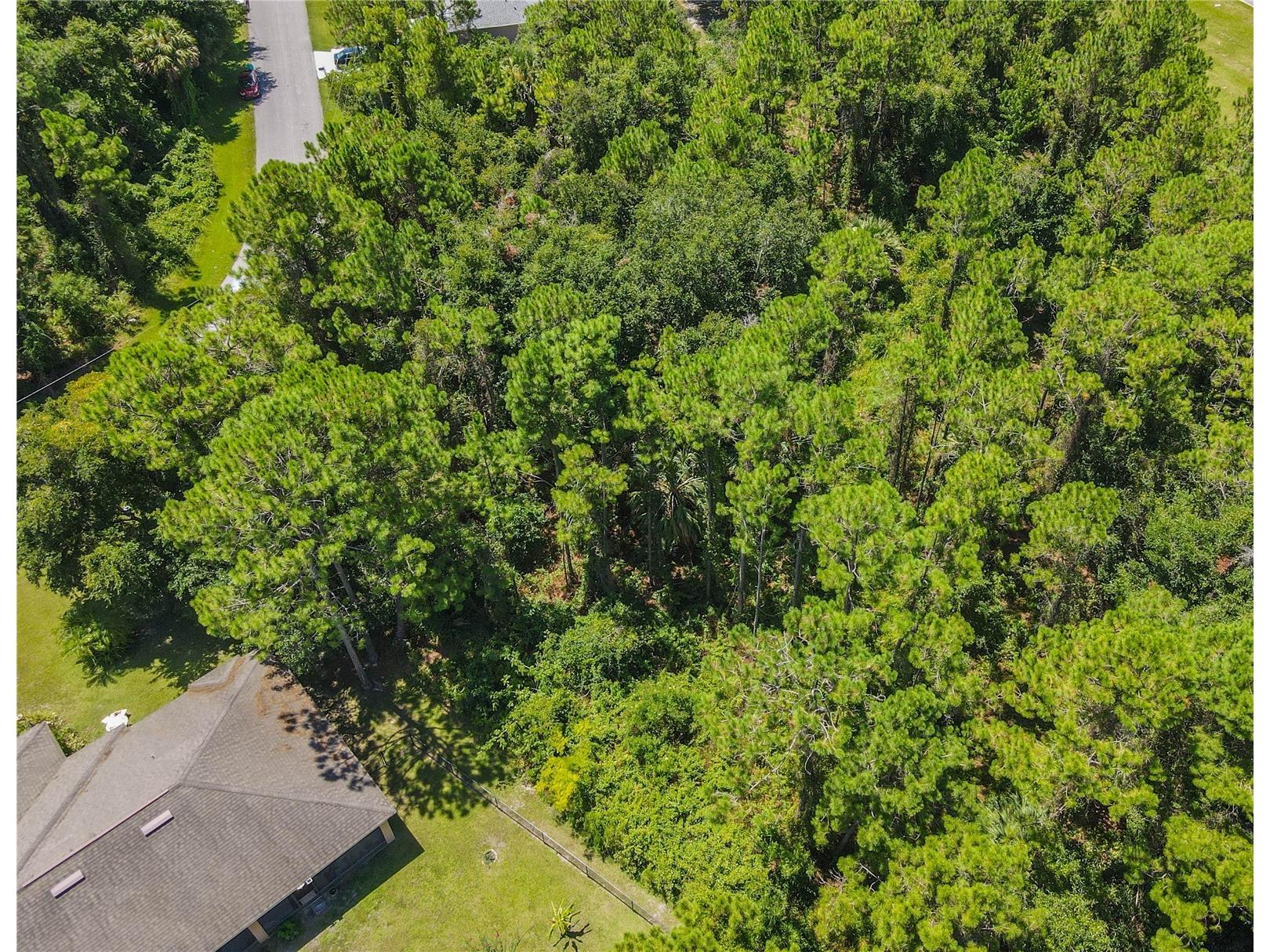 47 Fanshawe Lane Palm Coast FL 32137 FC317384 image12
