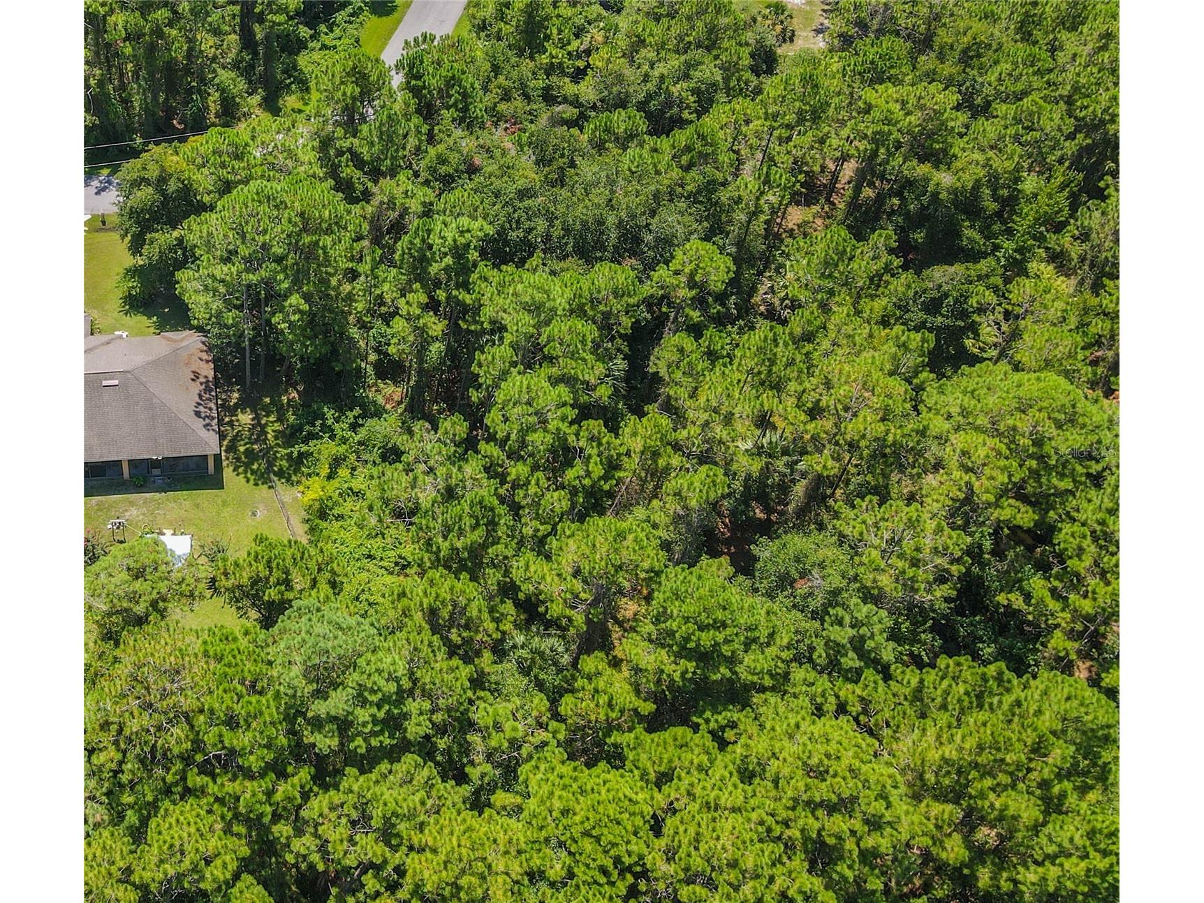 47 Fanshawe Lane Palm Coast FL 32137 FC317384 image14
