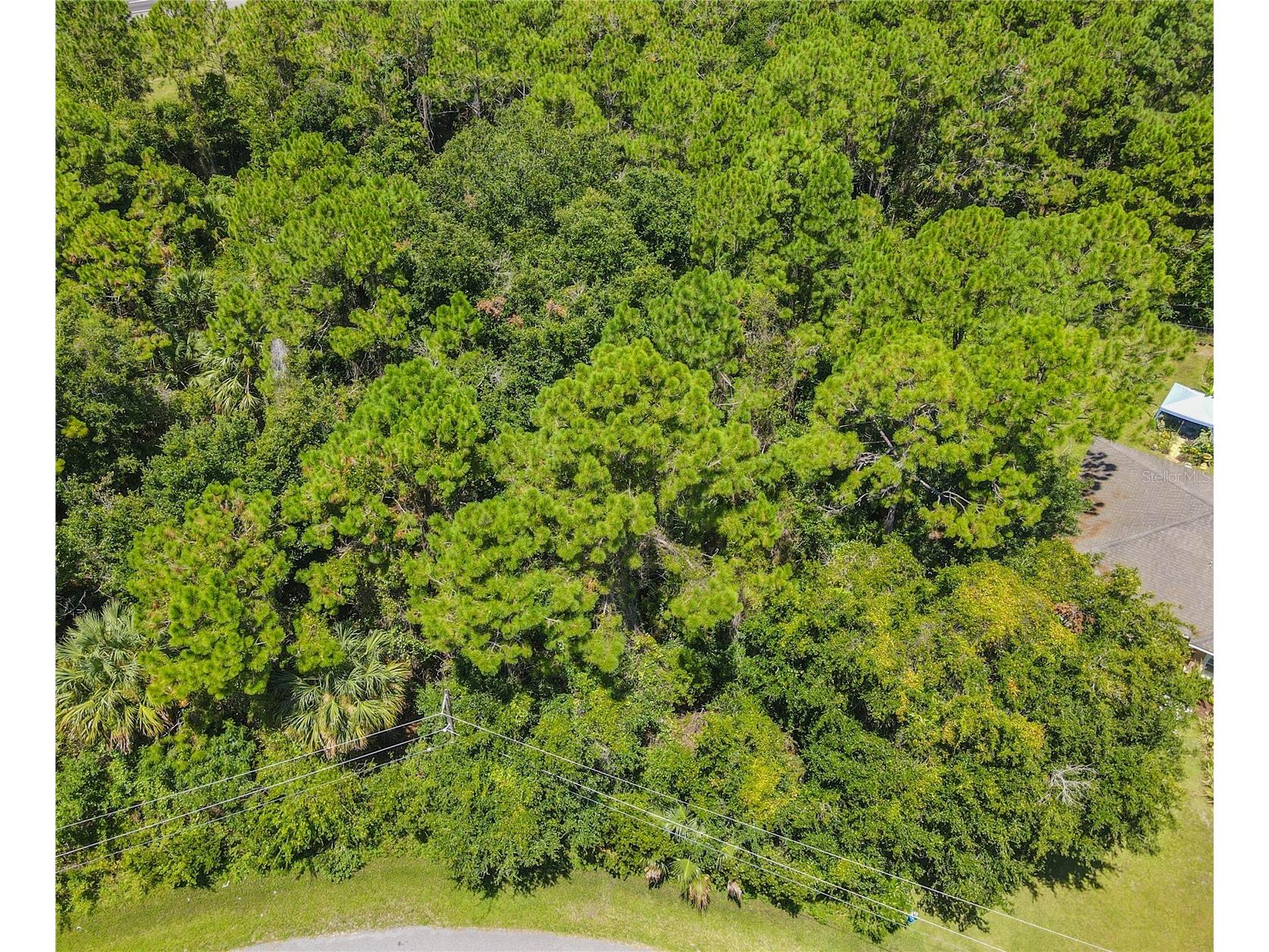 47 Fanshawe Lane Palm Coast FL 32137 FC317384 image4