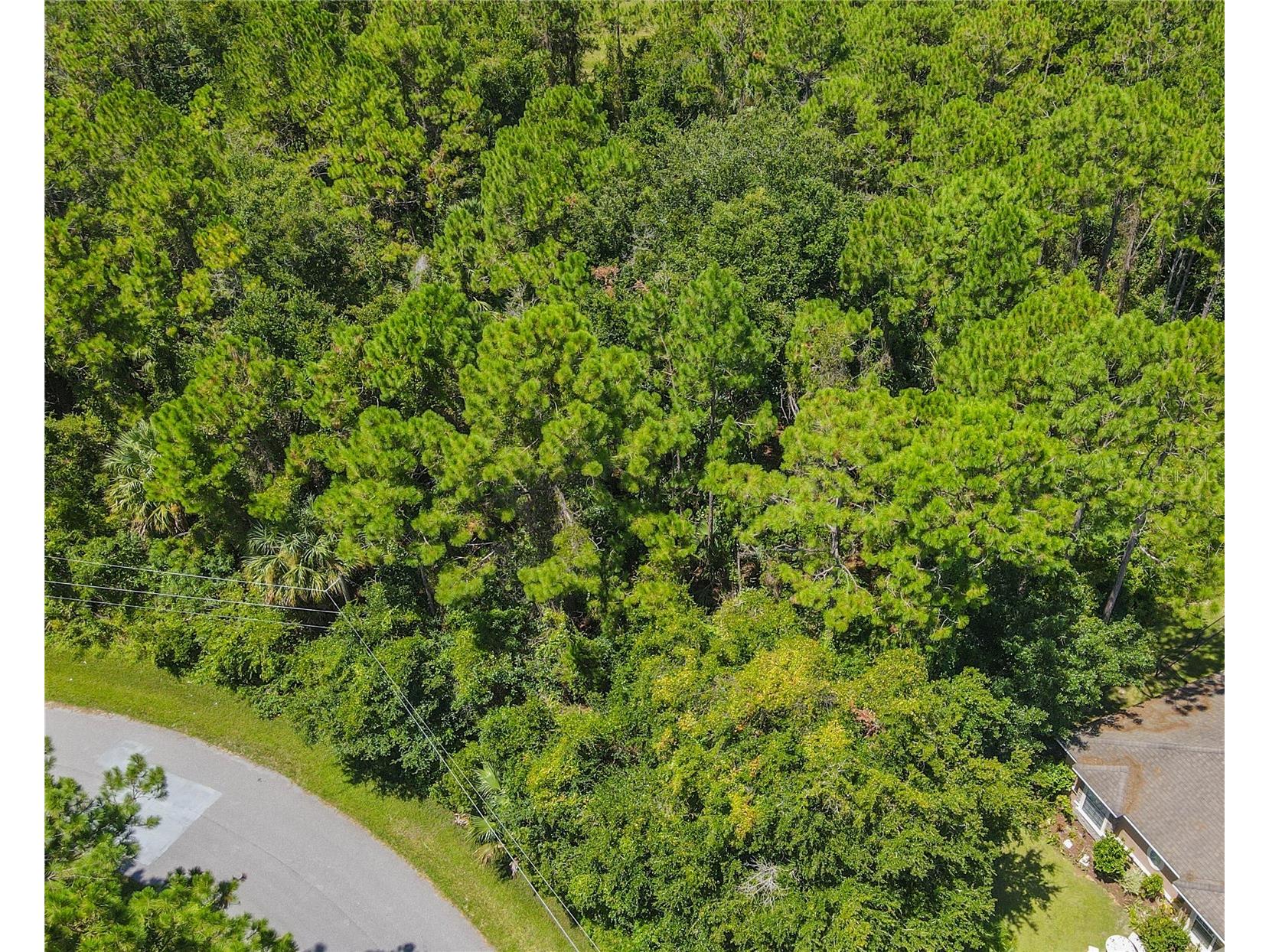 47 Fanshawe Lane Palm Coast FL 32137 FC317384 image5