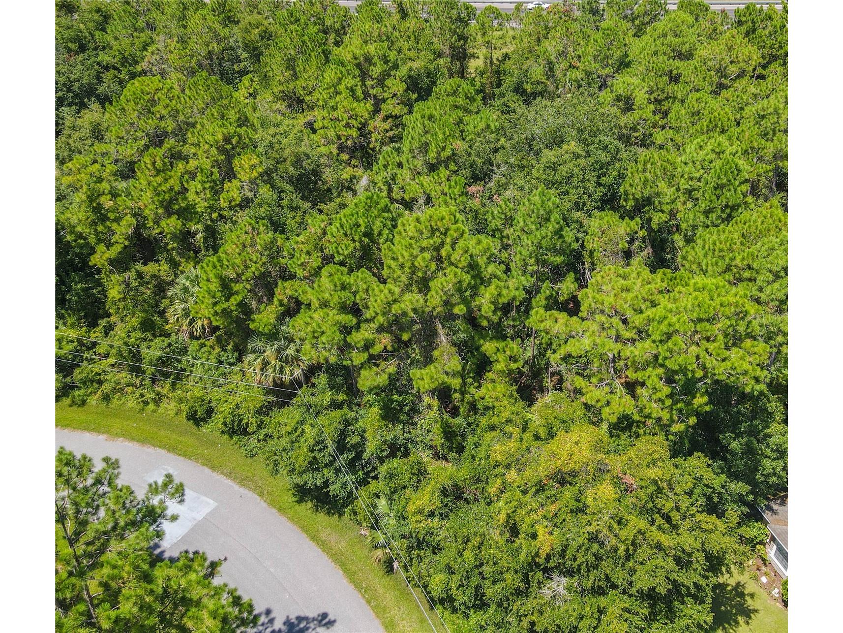 47 Fanshawe Lane Palm Coast FL 32137 FC317384 image6