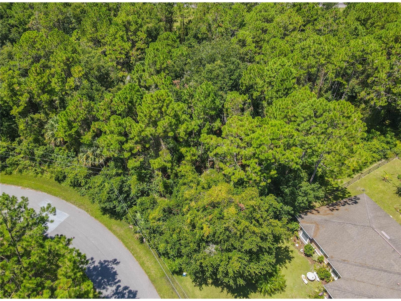 47 Fanshawe Lane Palm Coast FL 32137 FC317384 image7