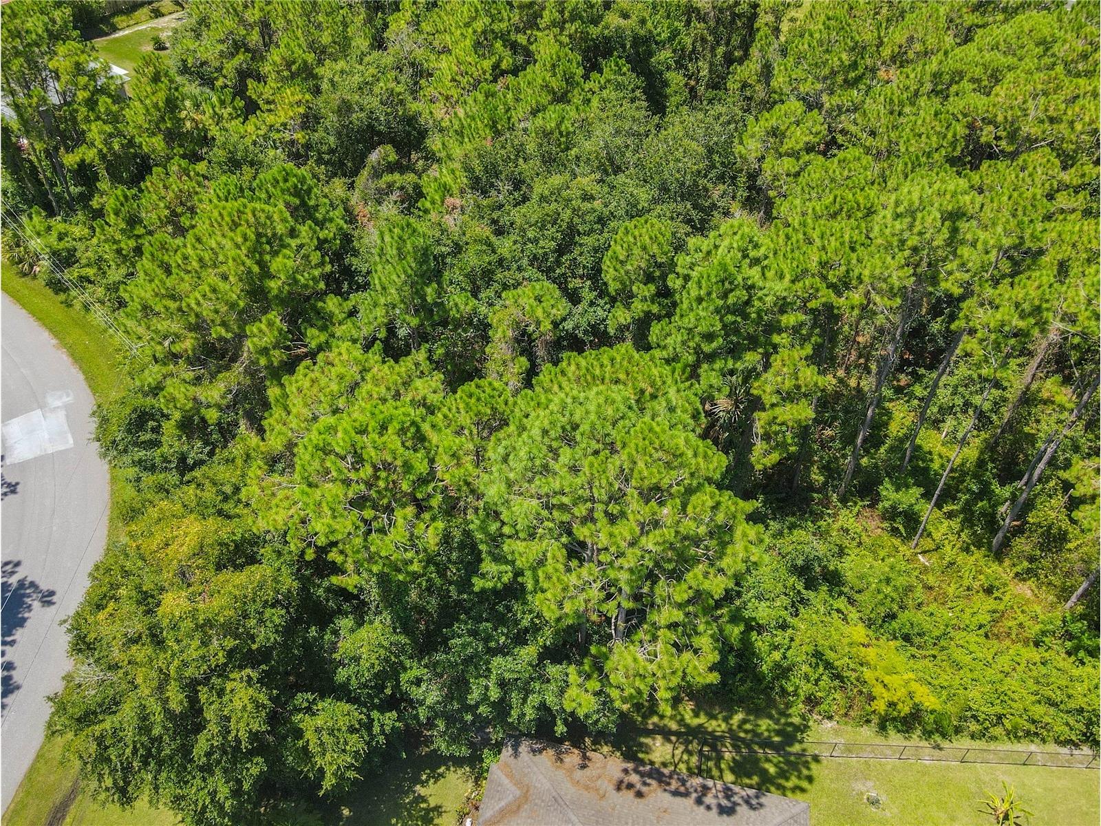47 Fanshawe Lane Palm Coast FL 32137 FC317384 image9