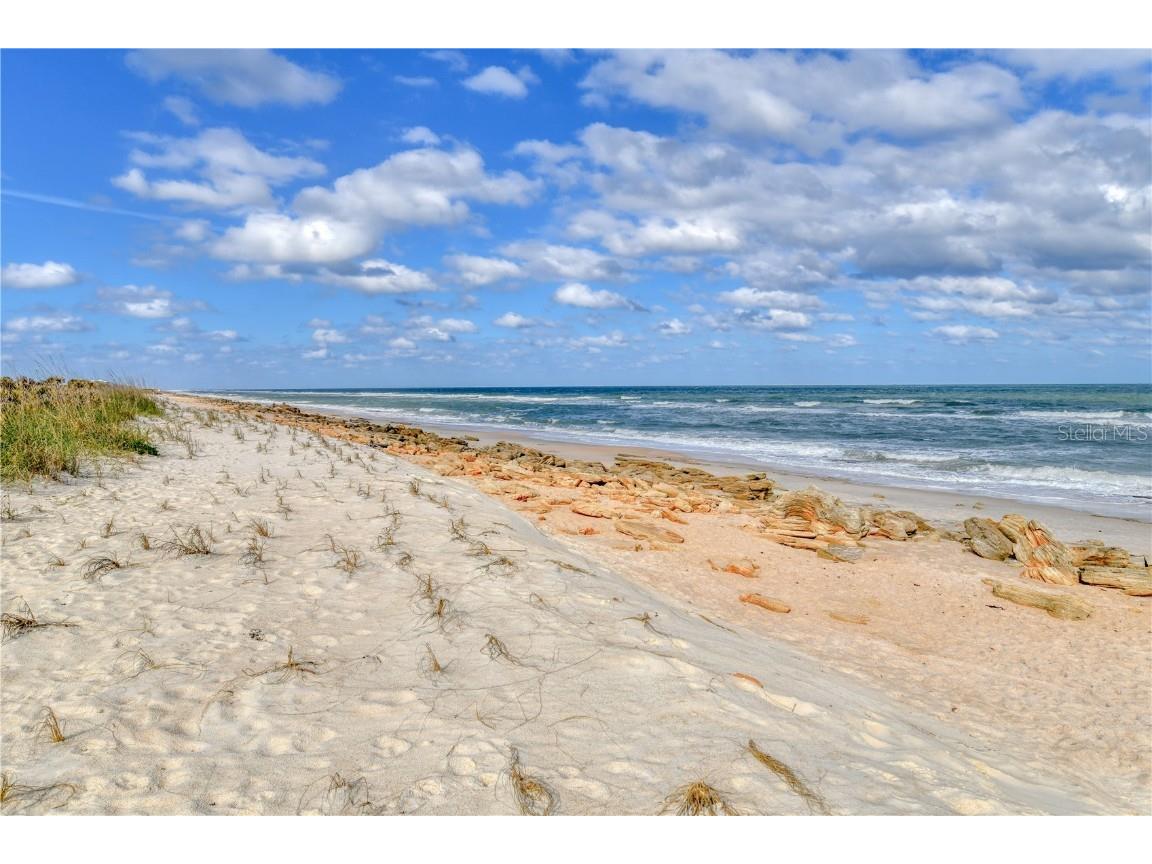 47 Hidden Treasure Drive Palm Coast FL 32137 FC310026 image54