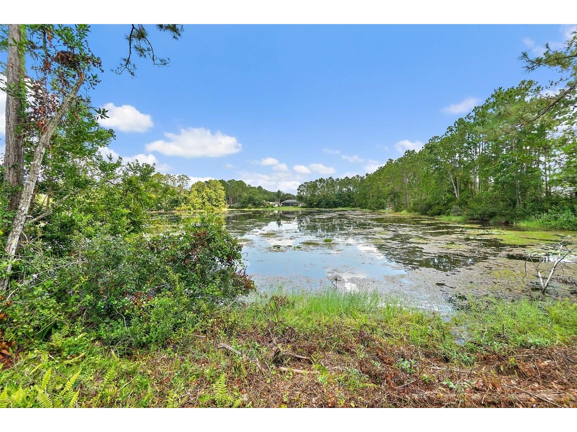 47 Kathleen Trail Palm Coast FL 32164 FC311494 image56