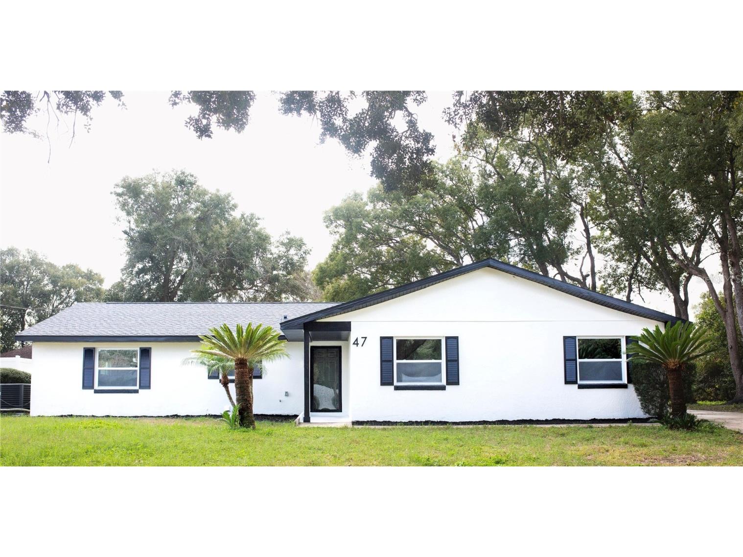 47 Palmetto Drive Debary FL 32713 T3501183 image1