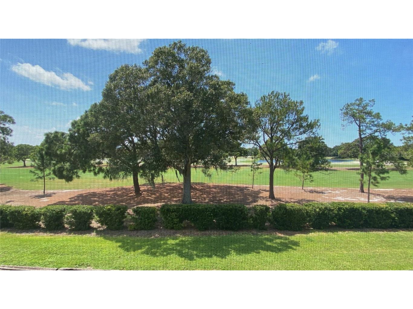 47 Pelican Place Belleair FL 33756 TB8439190 image17