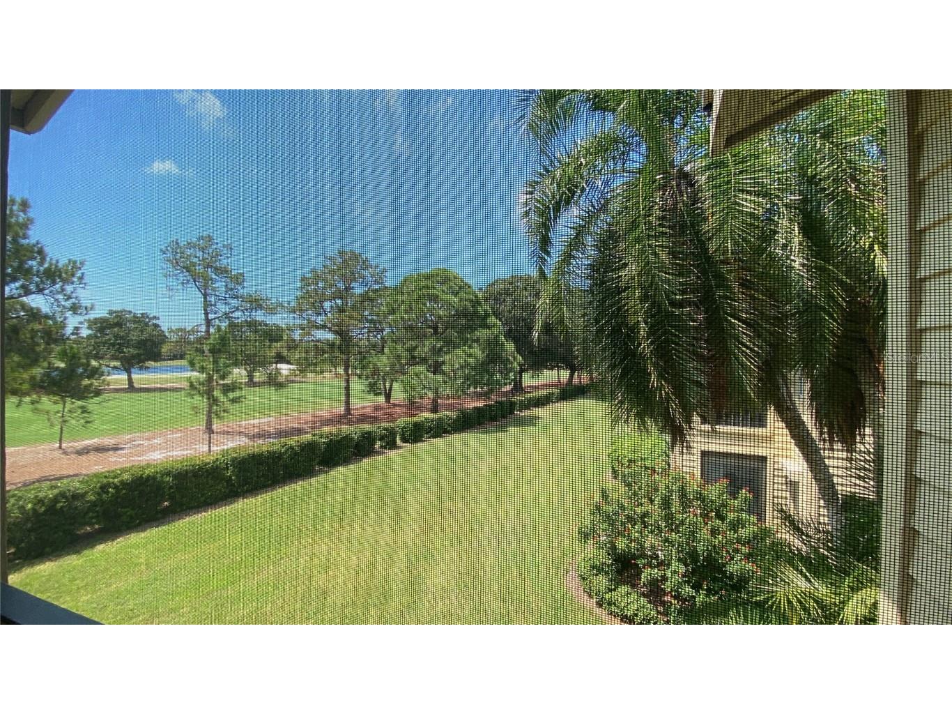 47 Pelican Place Belleair FL 33756 TB8439190 image18