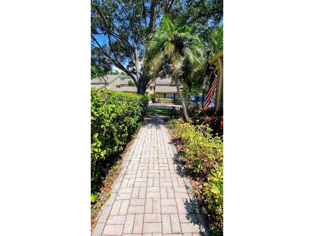 47 Pelican Place Belleair FL 33756 TB8439190 image48