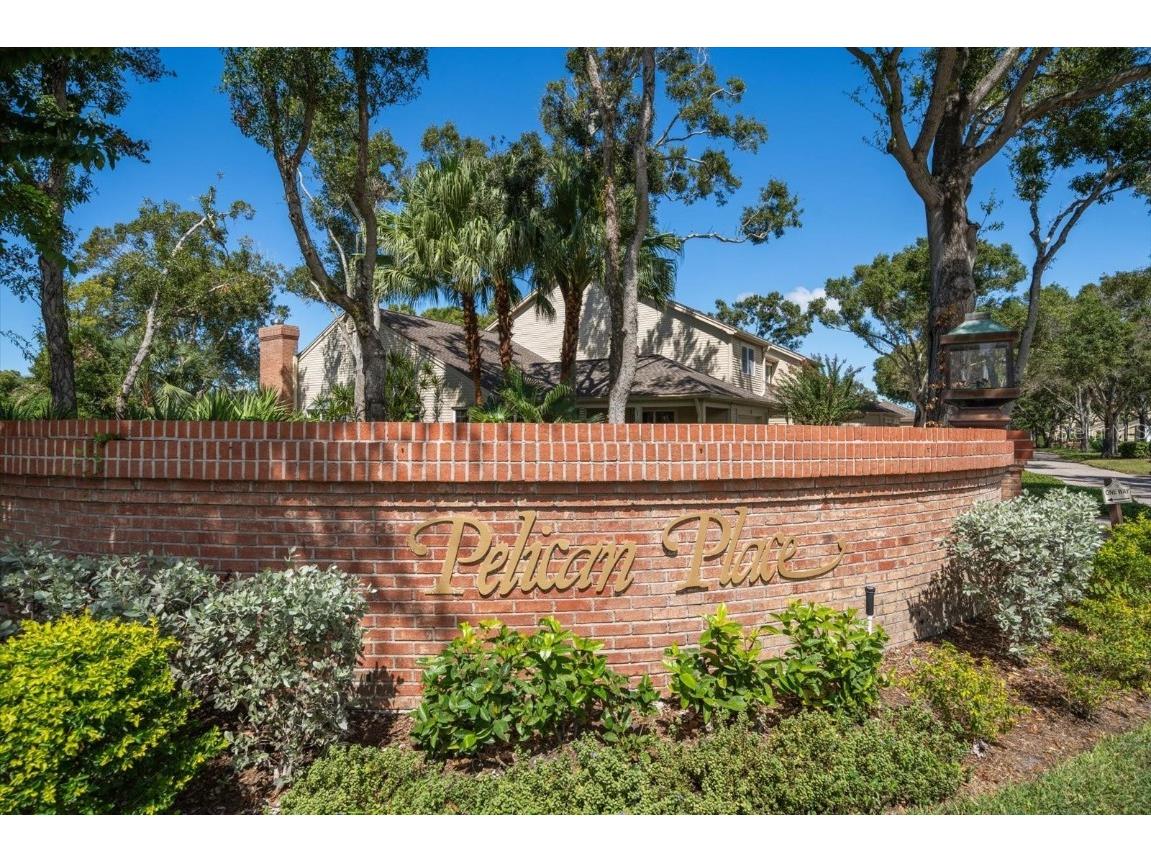 47 Pelican Place Belleair FL 33756 TB8447668 image33