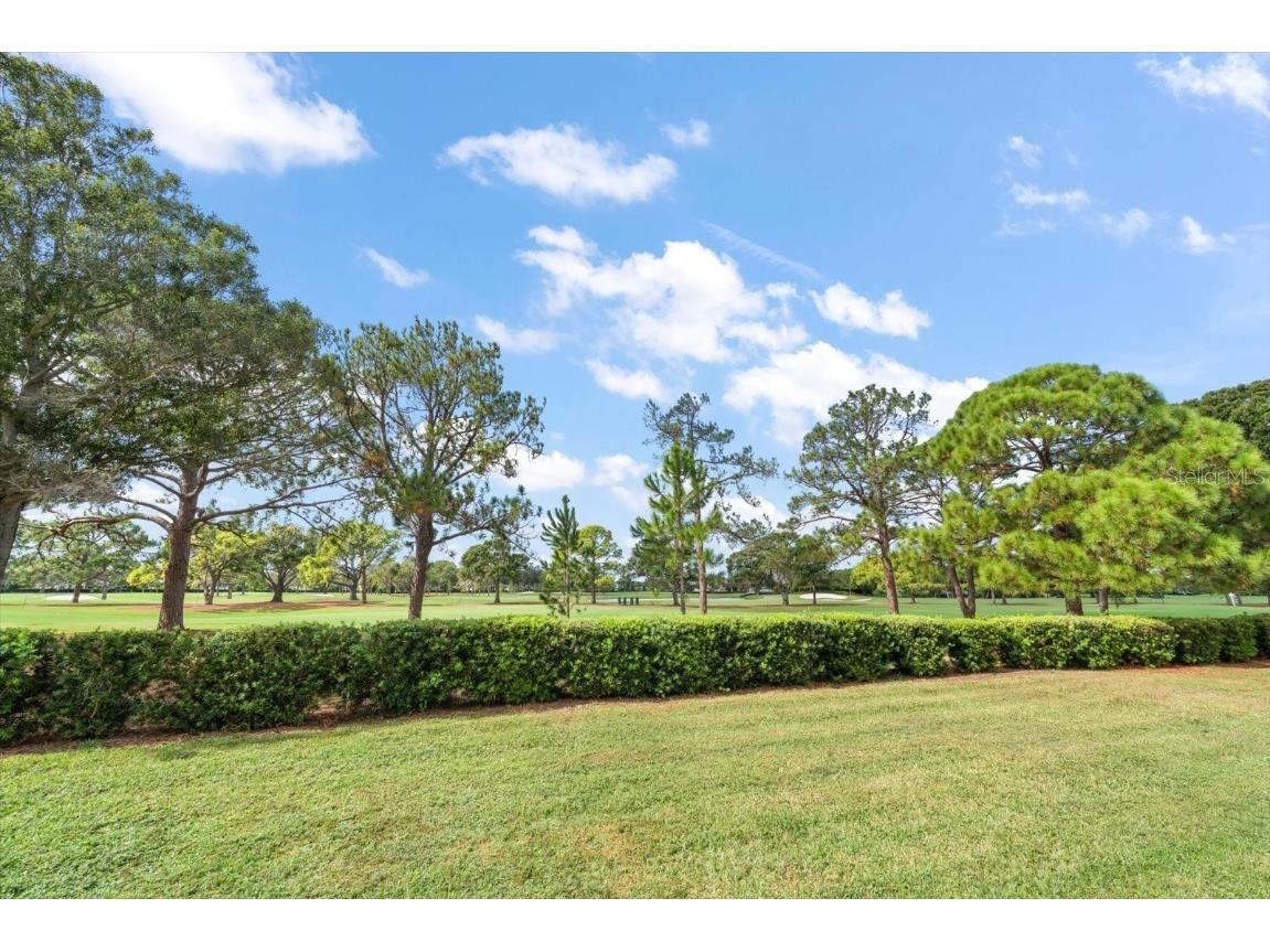 47 Pelican Place Belleair FL 33756 TB8447668 image35