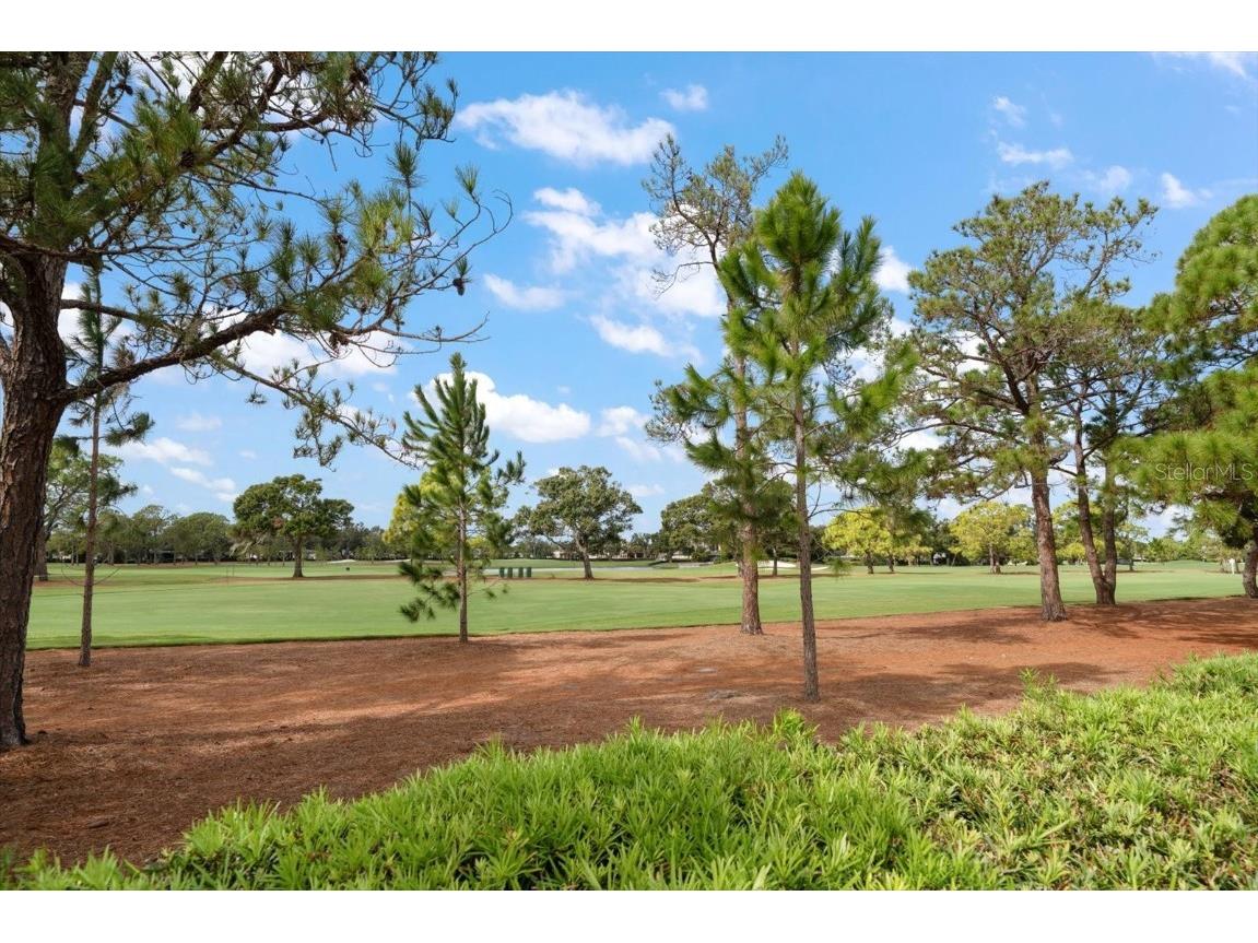 47 Pelican Place Belleair FL 33756 TB8447668 image36