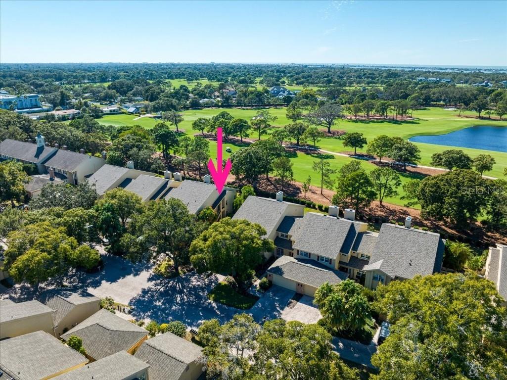 47 Pelican Place Belleair FL 33756 TB8447668 image38