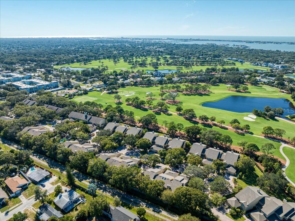 47 Pelican Place Belleair FL 33756 TB8447668 image42