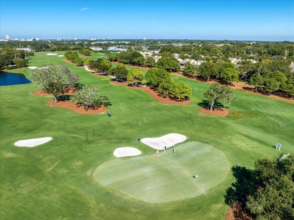 47 Pelican Place Belleair FL 33756 TB8447668 image43