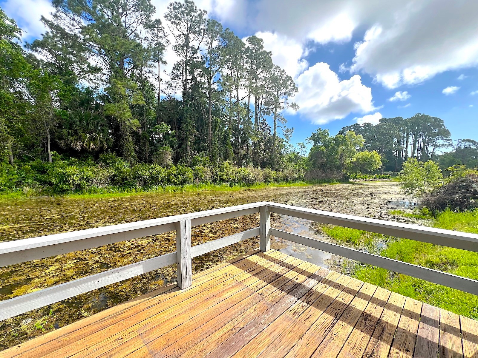 47 Pheasant Drive Palm Coast FL 32164 - PALM COAST CANAL FC318115 image60