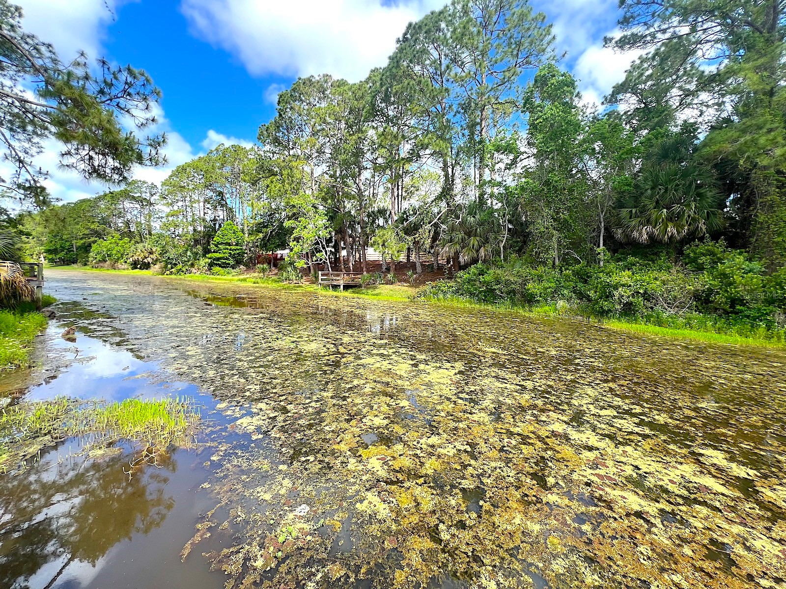 47 Pheasant Drive Palm Coast FL 32164 - PALM COAST CANAL FC318115 image64